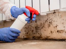 Best Environmental Consulting for Mold Prevention  in Hunter, OH